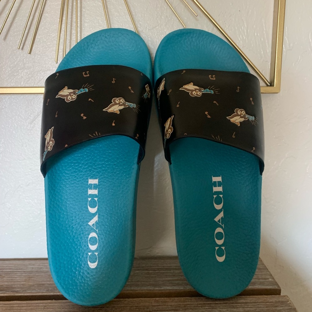 Sold on mercari NWOT Limited edition Coach owl Slides